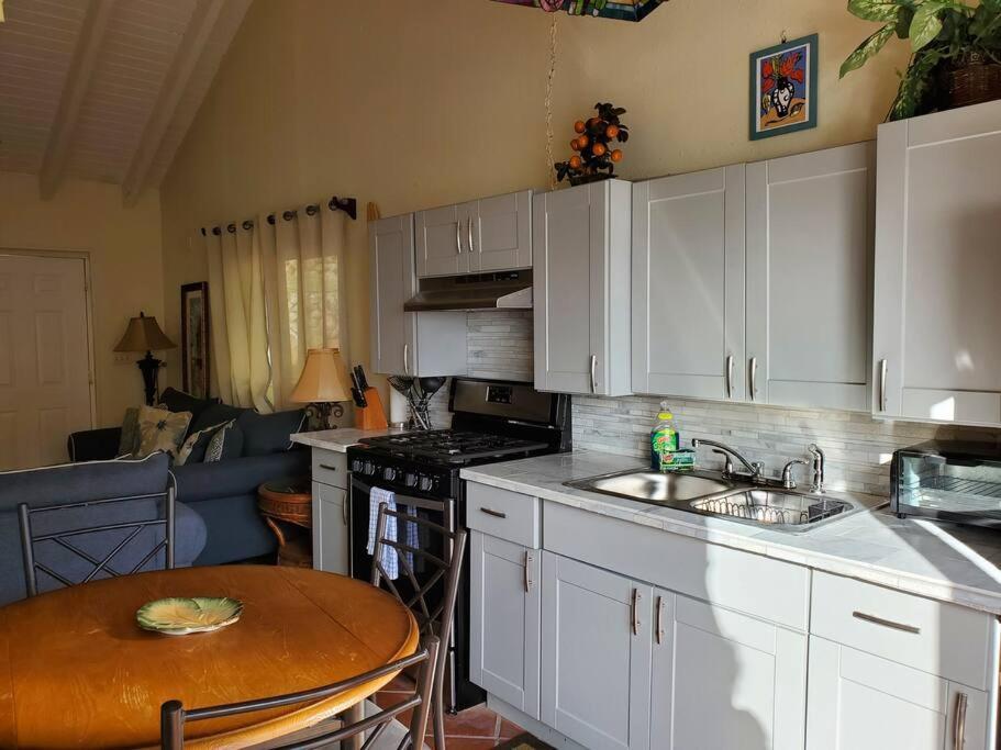 The Cottage At Villa Indigo 샬롯아말리에 외부 사진